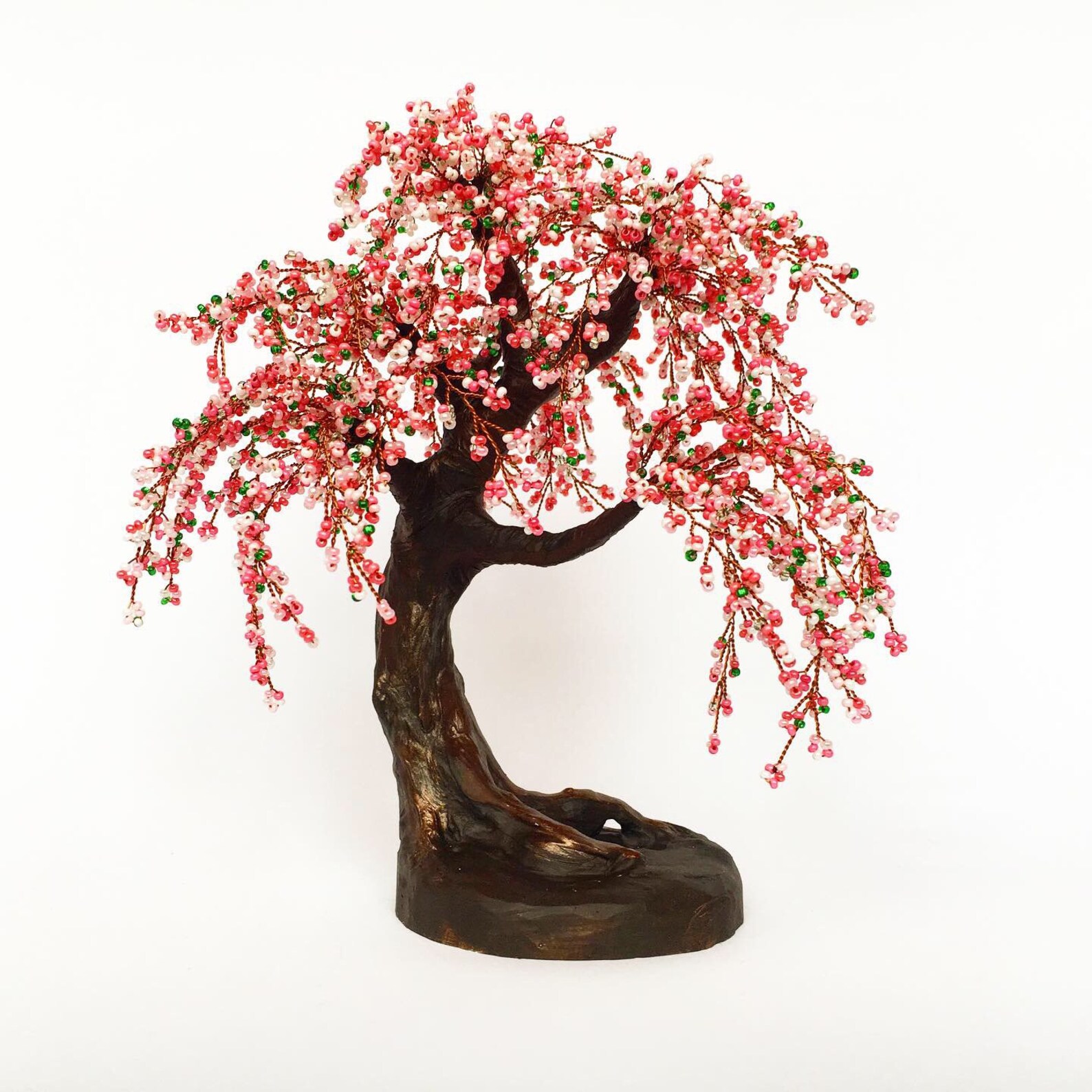 Cherry Blossom Bonsai Tree Live Etsy