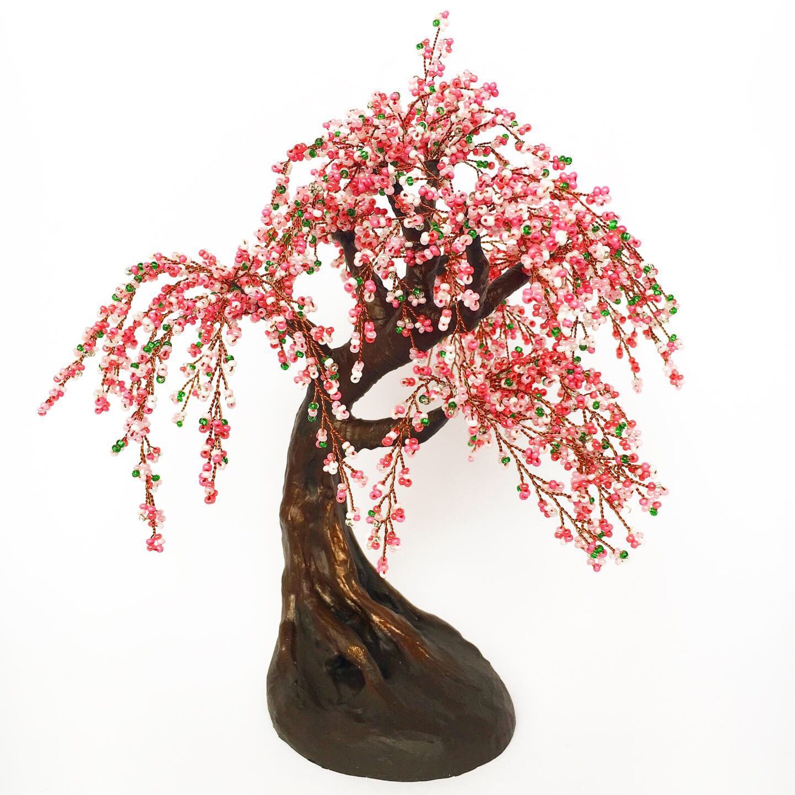 Cherry Blossom Bonsai Tree Live Etsy