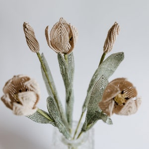 May include: A bouquet of five beige beaded tulips with green stems and leaves in a clear glass vase.