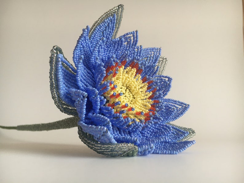 July Birth Month Flower Blue Lotus Egyptian Water Lily Etsy