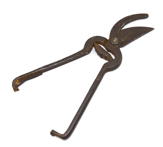 Secateurs scissors 2024