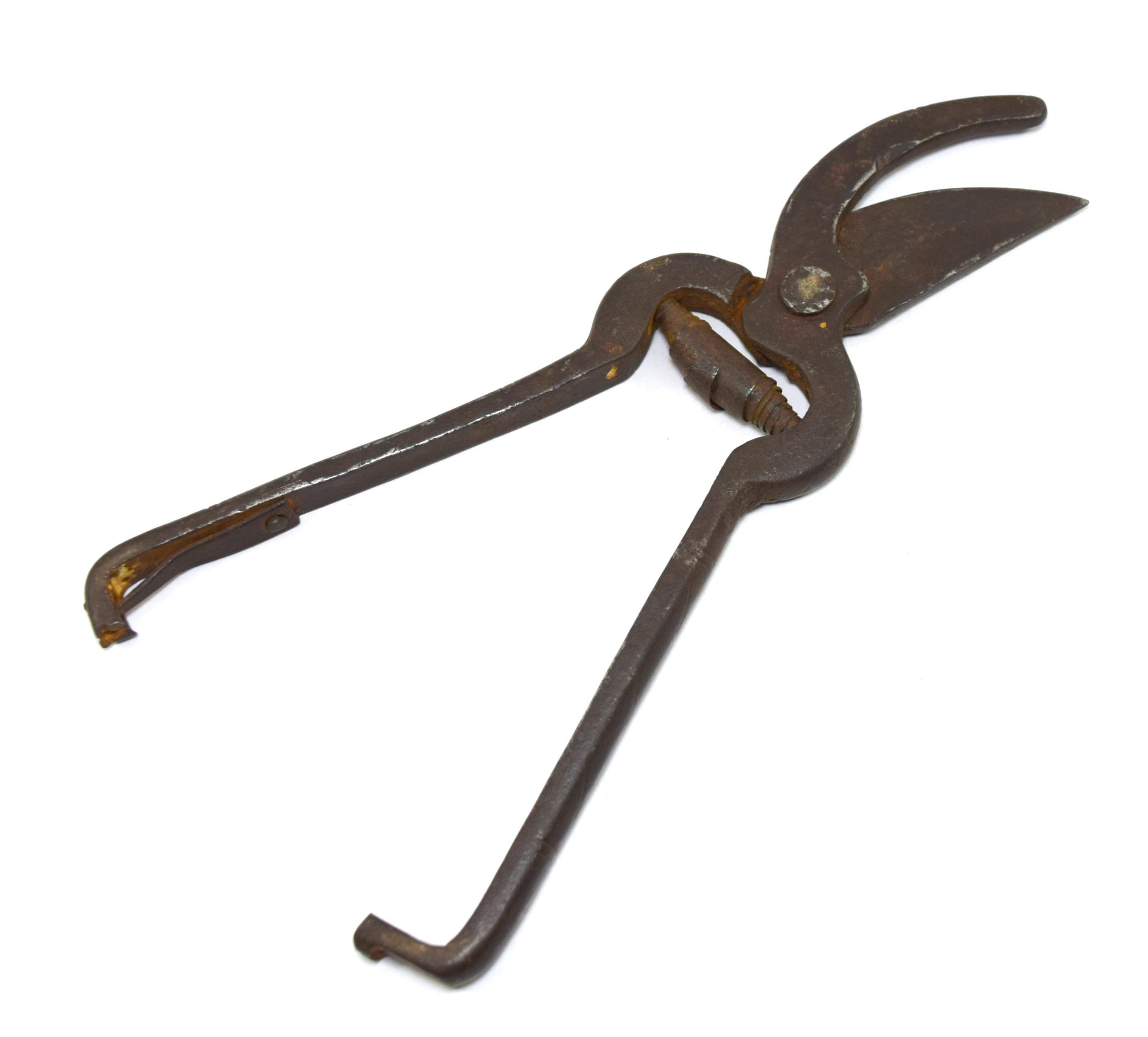 Vintage Flower Secateurs Pruning Scissors Shears Unique Etsy