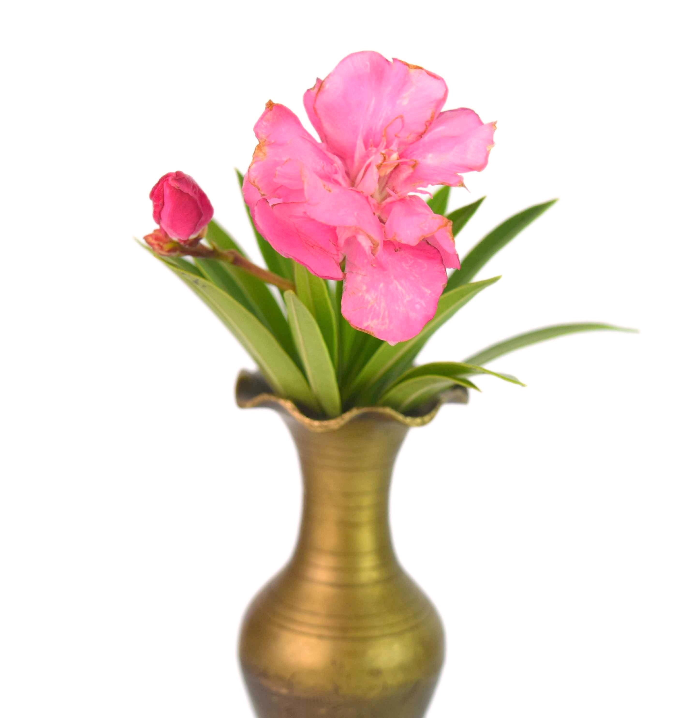 Beautiful Handcrafted Design Flower Pot Brass Home Decor, Small
