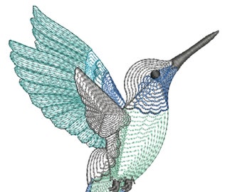 Op de afbeelding: Een blauwe en groene kolibrie met een lange snavel, in vlucht met zijn vleugels uitgespreid. De kolibrie heeft een lange staart met blauwe veren.