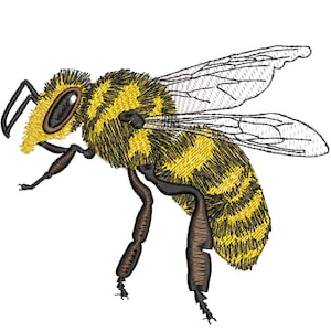 Puede incluir: Una abeja amarilla y negra con patas marrones y alas transparentes. La abeja está en posición de vuelo con las alas extendidas.
