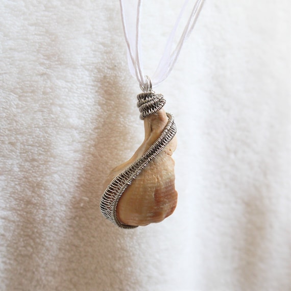 Broken clearance seashell necklace