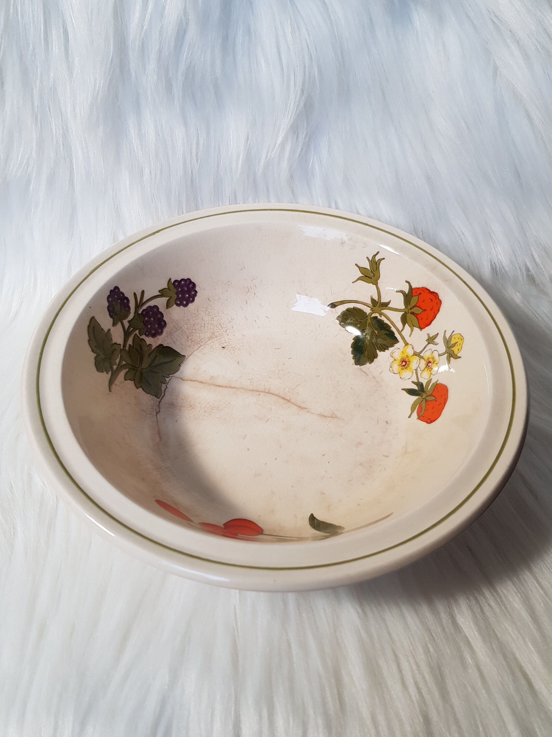 Vintage Royal Worcester Palissy Summer Fayre Servier Schüssel