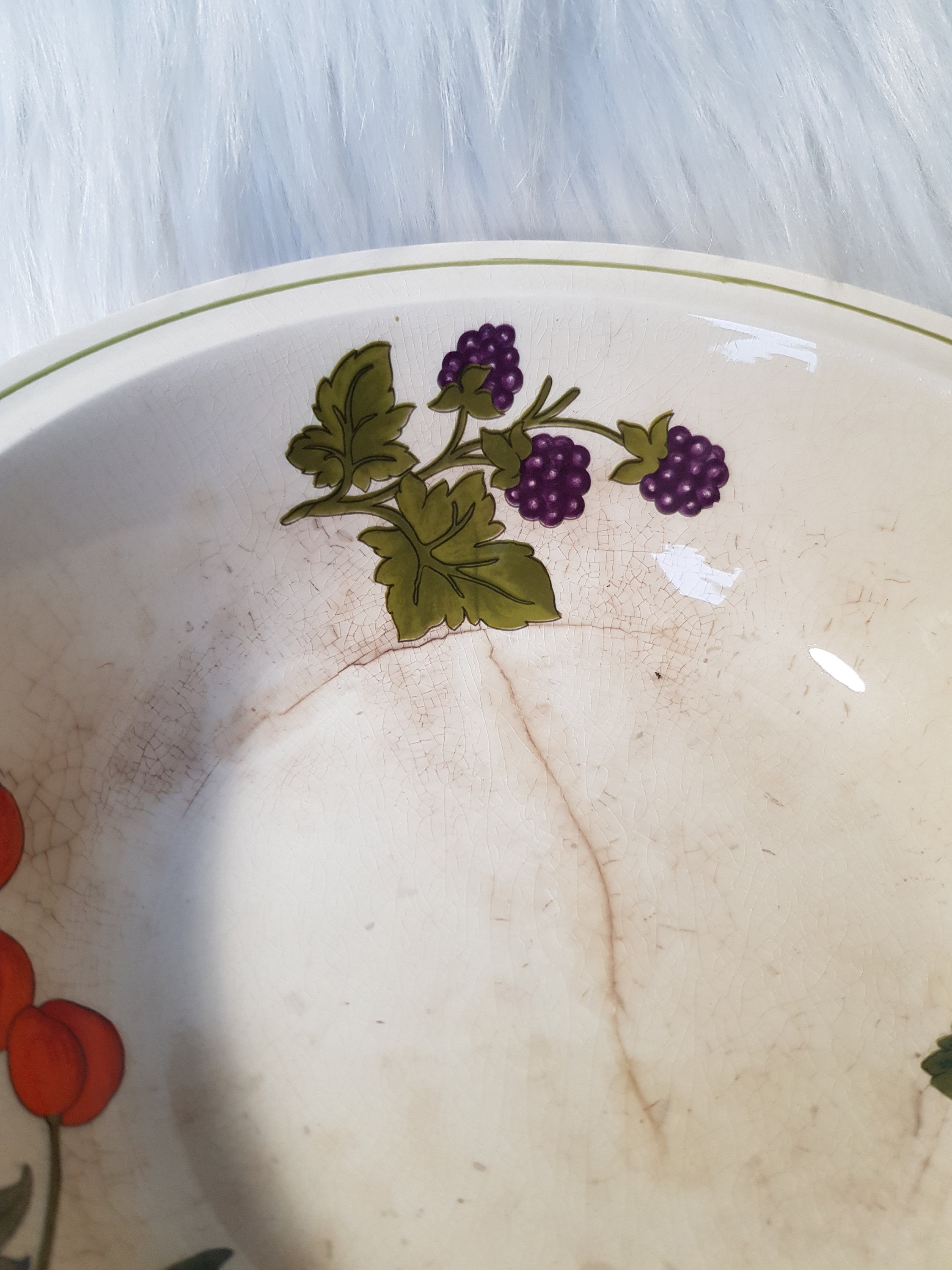 Vintage Royal Worcester Palissy Summer Fayre Servier Schüssel