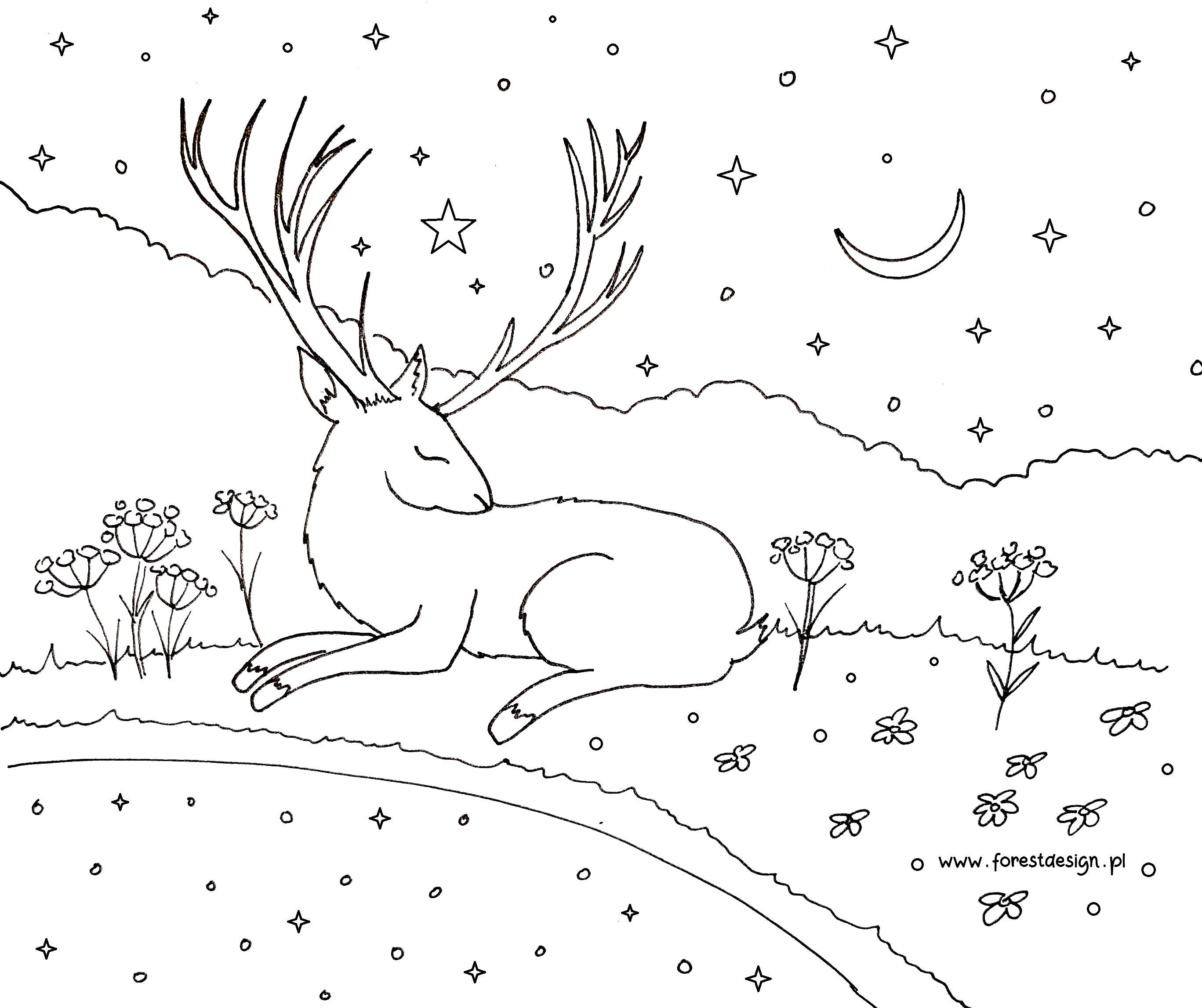 Magical Deer Adults Coloring Book: Animal Coloring Books for