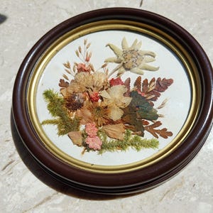 Vintage Trockenblumen Wanddekoration fertig zum Aufhängen / Echte Pflanzen in rundem braunen Rahmen / Bunte Trockenblumen Retro Wandbehang / Florale Kunst