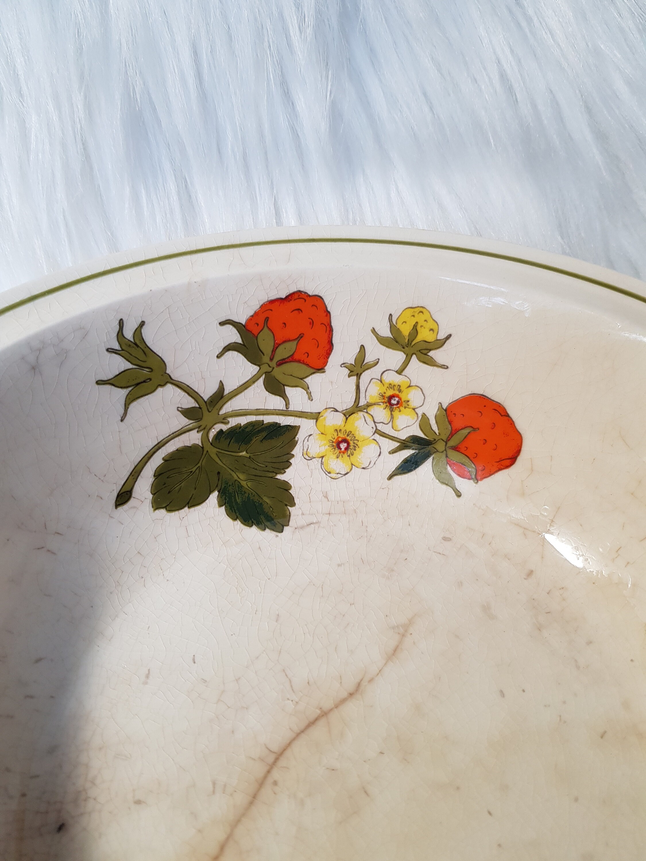 Vintage Royal Worcester Palissy Summer Fayre Servier Schüssel