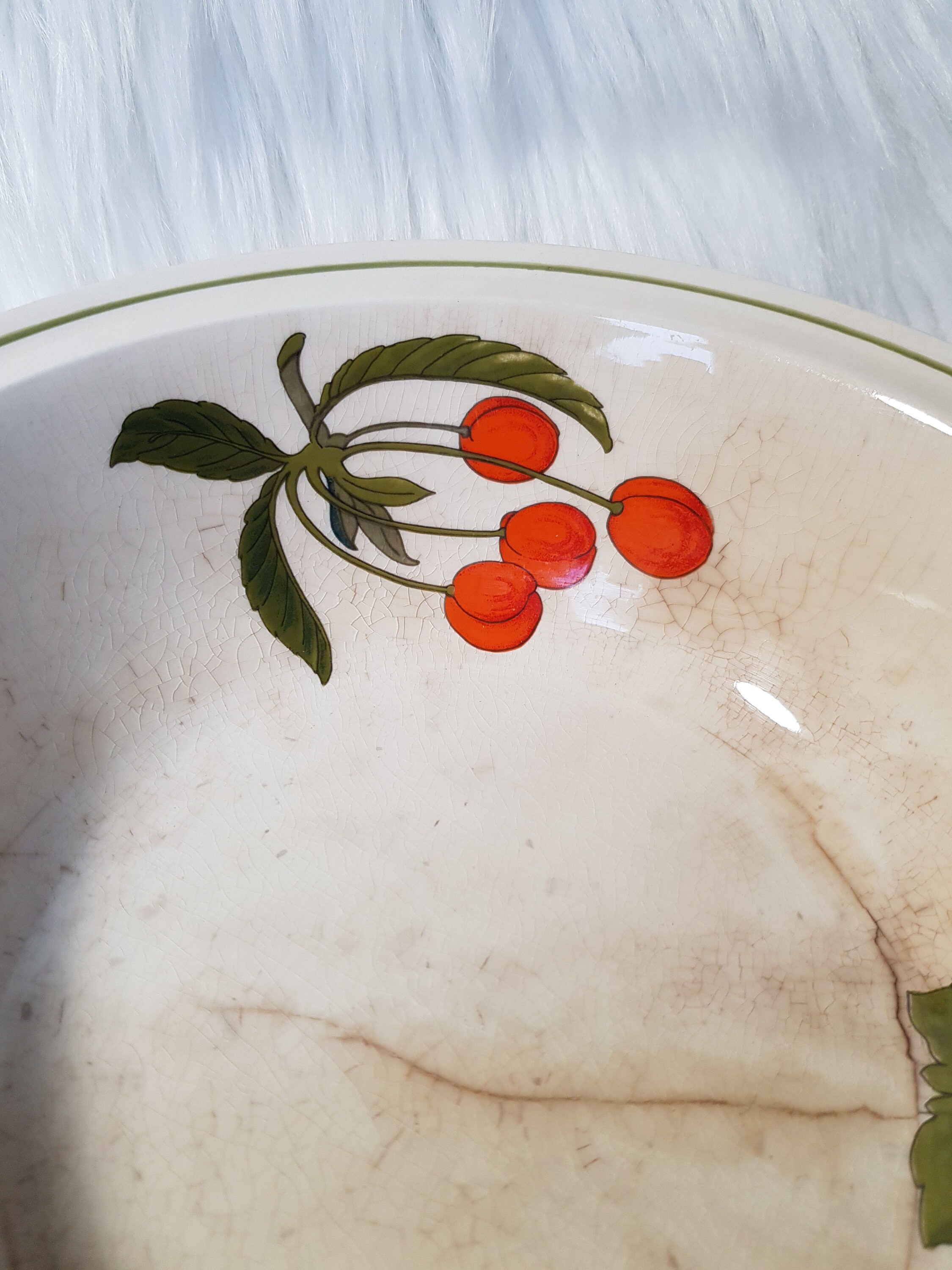 Vintage Royal Worcester Palissy Summer Fayre Servier Schüssel