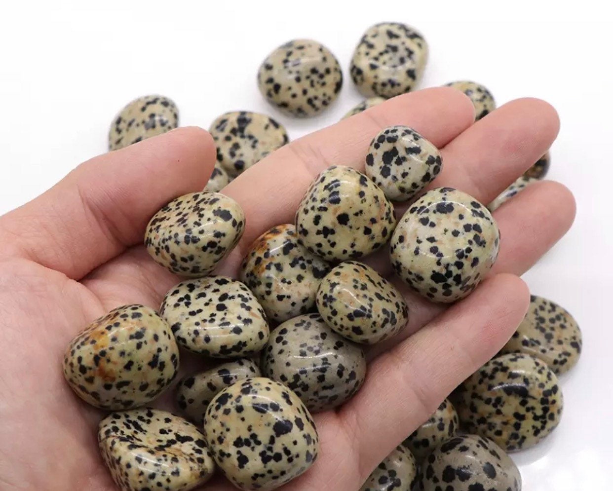 Pierre Naturelles Jaspe Dalmatien 100G