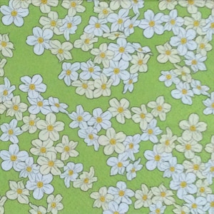 Daisies Paper Nap kinkins/Daisy Paper Nap napkins/Floral color decoupage Napkins/Floral paper tovagliolo/artigianato di media misti/tovaglioli di carta di decoupage