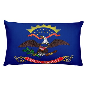 Florida State Flag Throw Pillow Covers Red White State Etsy