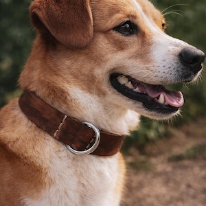 Leder Hundehalsband Büffelleder personalisiert | handgefertigtes Halsband mit Gravur | robustes Hundehalsband Messing | Dog Collar Leder