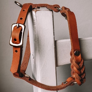 Ledergeschirr Hundegeschirr Leder Lisbeth Pine