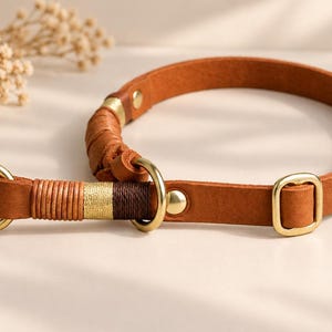 May include: A tan leather collar featuring brass hardware, including a circular ring and a rectangular buckle. The collar is accented with decorative thread wrapping in shades of tan, gold, and dark brown, secured with metal rivets.