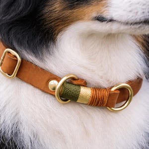 May include: A tan leather dog collar featuring brass hardware, including a rectangular buckle, a circular ring, and a rivet. The collar is accented with a decorative section of wrapped thread in olive green, metallic gold, and copper tones.