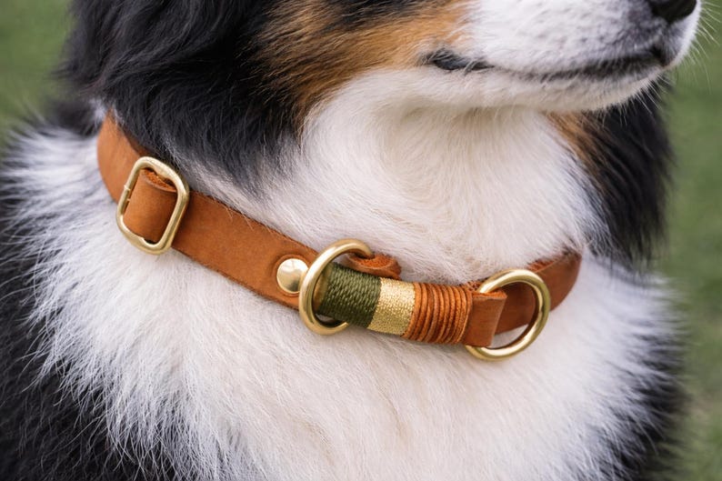 May include: A tan leather dog collar featuring brass hardware, including a rectangular buckle, a circular ring, and a rivet. The collar is accented with a decorative section of wrapped thread in olive green, metallic gold, and copper tones.