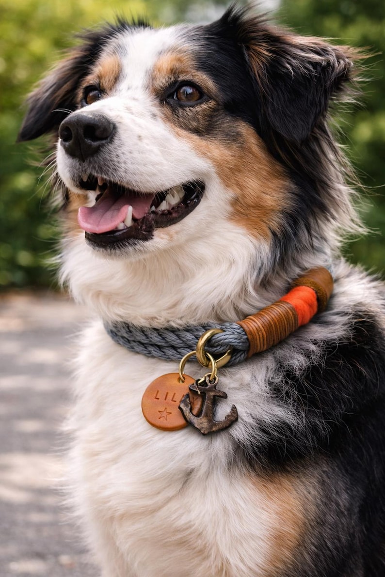 Op de afbeelding: Een driekleurige Australian Shepherd hond draagt een grijze touwhalsband met oranje en bruine lederen accenten. De halsband heeft een messing ring met een ronde, lichtbruine leren hanger gegraveerd met de naam LILA en een ster, plus een ankerbedel.