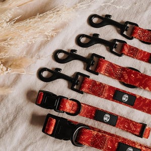 May include: A collection of red patterned pet collars and leashes featuring black plastic buckles and swivel snap hooks. Each item includes a small black rectangular tag with a white circular logo depicting a mountain landscape and trees.