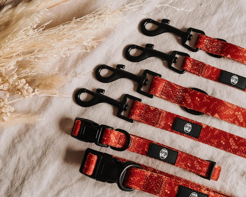 May include: A collection of red patterned pet collars and leashes featuring black plastic buckles and swivel snap hooks. Each item includes a small black rectangular tag with a white circular logo depicting a mountain landscape and trees.