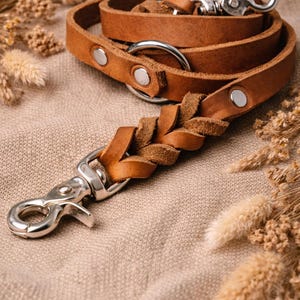Geflochtene Lederleine Hund aus Fettleder Pine personalisierte Hundeleine mit Gravur | verstellbare Dog Leash | handgefertigt