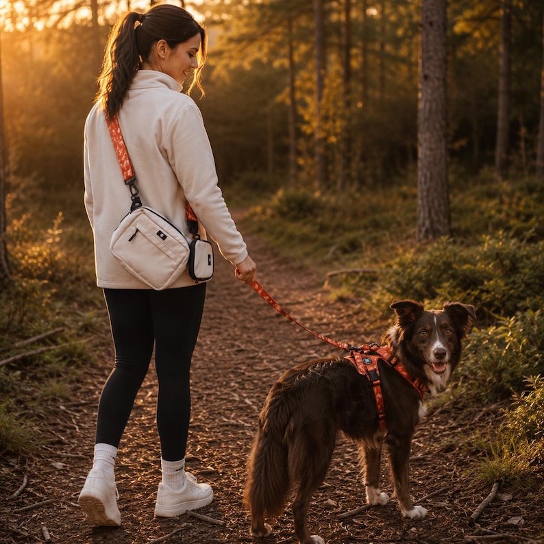 May include: A cream-colored crossbody bag with a matching small pouch attached to an orange patterned strap. The strap connects to a matching orange patterned dog harness worn by a brown and white dog, creating a coordinated walking set.