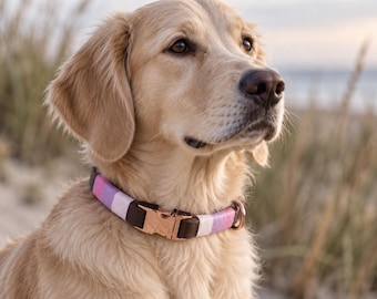 Coleira personalizada em couro trançado para cães com gravação | Fecho de encaixe, enrolada em cores vibrantes