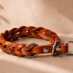 Pode incluir: Uma coleira de couro castanho com um design entran&ccedil;ado, dois an&eacute;is de metal prateado e dois rebites a condizer. A coleira &eacute; constru&iacute;da a partir de v&aacute;rias tiras de couro entrela&ccedil;adas para formar uma banda circular com um acabamento liso.