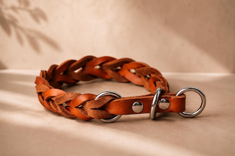 Pode incluir: Uma coleira de couro castanho com um design entran&ccedil;ado, dois an&eacute;is de metal prateado e dois rebites a condizer. A coleira &eacute; constru&iacute;da a partir de v&aacute;rias tiras de couro entrela&ccedil;adas para formar uma banda circular com um acabamento liso.