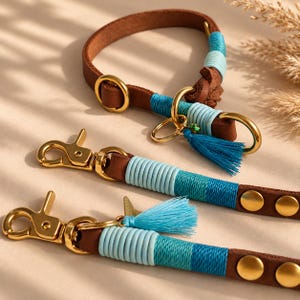 May include: A brown leather pet collar and two matching leashes featuring gold-toned metal hardware, including swivel snap hooks and rivets. The leather is accented with decorative light blue and teal thread wrapping and small blue tassels.