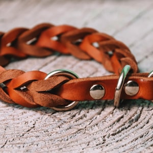 Lederhalsband Leder Halsband Hund Zugstopp Pine