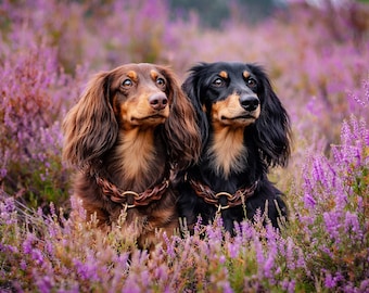 Geflochtenes Leder Hundehalsband Pine | personalisiertes Dog Collar mit Gravur | verstellbares Halsband aus Fettleder