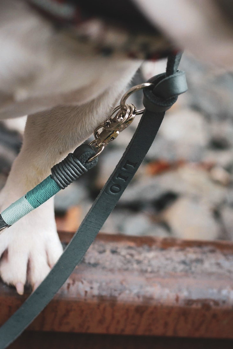Lederleine Hund Larch Lisbeth Etsy