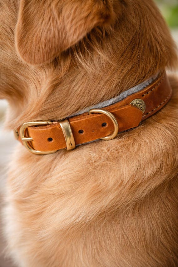 cloud 7 hundebett Hundebett - Sleepy Deluxe - Cloud7