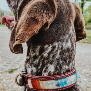 Hundehalsband Boho Cognac Lisbeth Bild 6