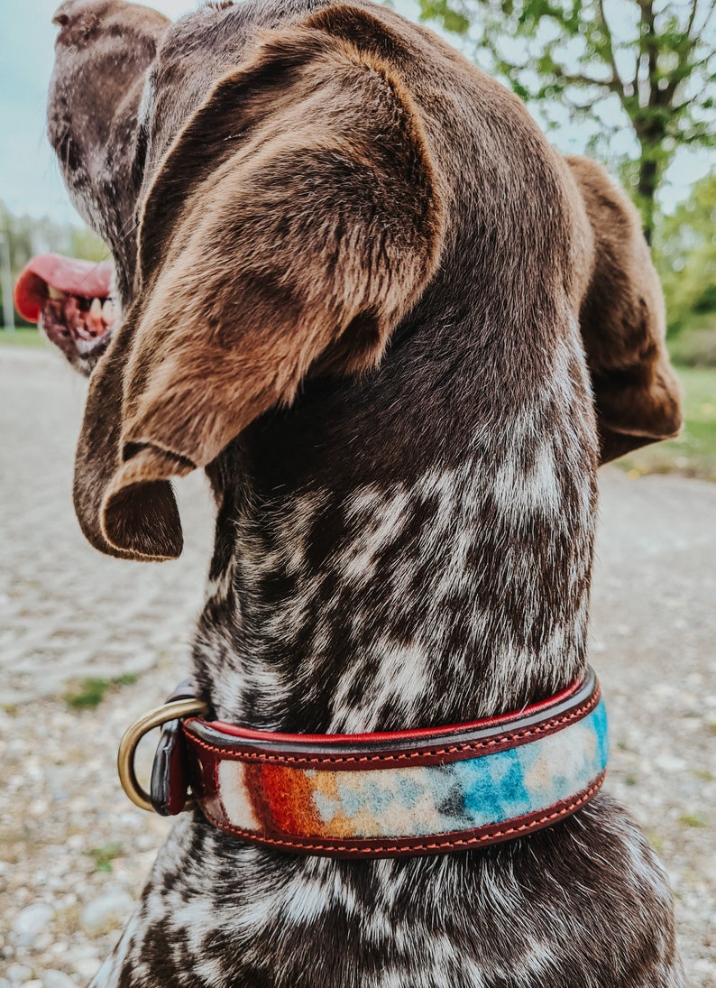 Hundehalsband Boho Cognac Lisbeth Bild 6