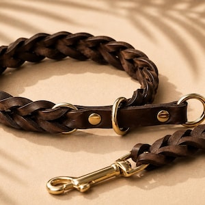Pode incluir: Uma coleira de c&atilde;o em couro entran&ccedil;ado castanho escuro e trela a condizer com ferragens em metal dourado polido, incluindo an&eacute;is circulares, rebites e um mosquet&atilde;o girat&oacute;rio, dispostos num la&ccedil;o circular com a trela estendida.