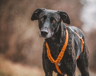 Sicherheits Hundegeschirr Biothaan Sleutelbloem Lisbeth