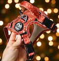 Pumpkin Spice Dog Harness and Leash Set - Neoprene, Adjustable product logo