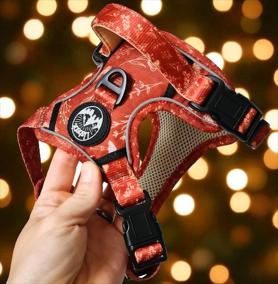 Pumpkin Spice Dog Harness and Leash Set - Neoprene, Adjustable