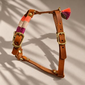 May include: A brown leather pet harness featuring brass buckles and rivets. One side is wrapped in decorative thread in shades of orange, beige, and magenta. A small, multi-colored tassel with a metallic leaf-shaped charm is attached to the top.