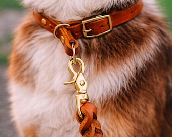 Zugstopp Hundehalsband Leder Pine | geflochtenes Martingale Dog Collar | personalisiertes Halsband mit Gravur
