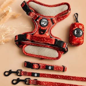 May include: A red pet harness with a white botanical pattern, featuring black buckles and a white mesh lining. Included are a matching red collar, two leashes with black metal clips, and a small red waste bag dispenser with the Lisbeth logo.
