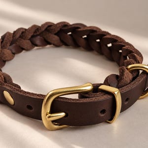 Peut inclure: Un collier en cuir marron fonc&eacute; dot&eacute; d'un design tress&eacute; et d'une section en cuir lisse. Le collier est &eacute;quip&eacute; d'une boucle en m&eacute;tal dor&eacute; bross&eacute;, d'un passant en m&eacute;tal assorti et de deux rivets dor&eacute;s fixant la partie en cuir tress&eacute;.