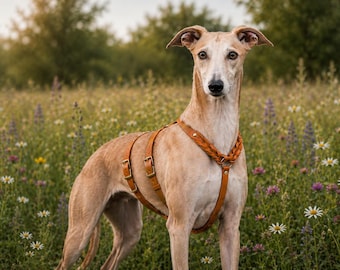 Sicherheitsgeschirr Hund ausbruchsicher | Biothane Hundegeschirr maßgefertigt | Escape Proof Dog Harness | robustes Outdoor Geschirr