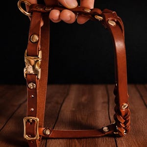 Personlig flätad lädersele för hund | Anpassat graverat husdjurstillbehör