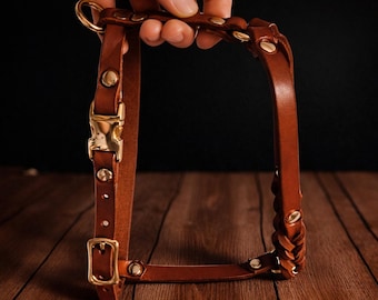 Personalized Braided Leather Dog Harness | Custom Engraved Pet Accessory